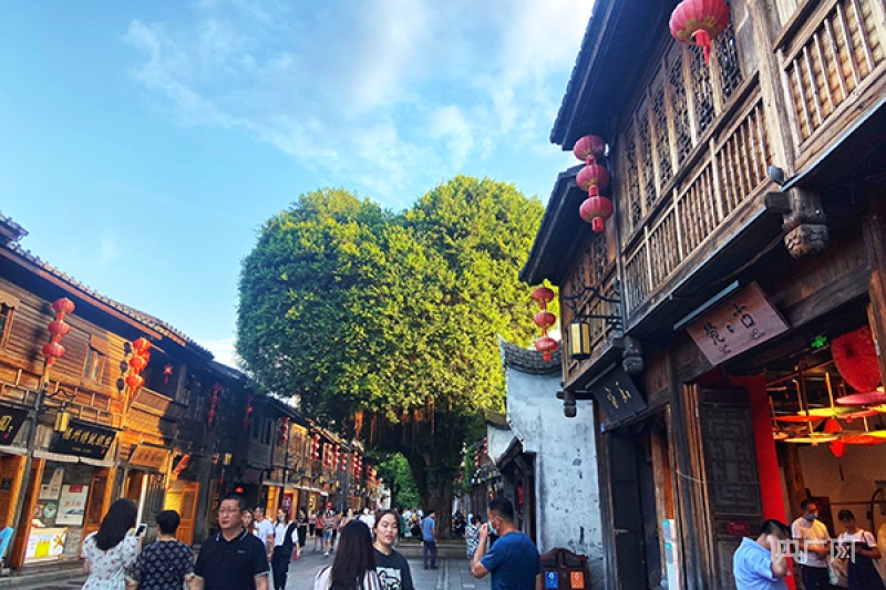 Three-Lanes-and-Seven-Alleys2