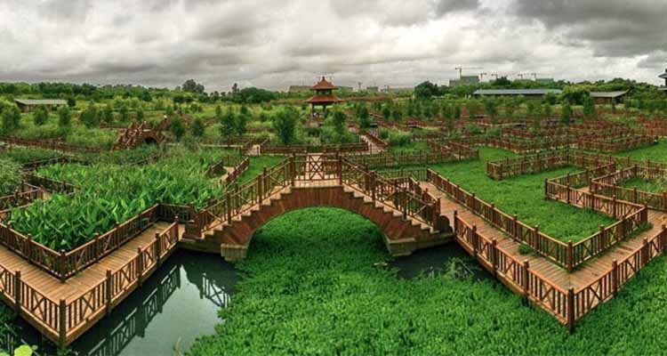 Wuyuan-Bay-Wetland-Park2 Wuyuan-Bay-Wetland-Park2