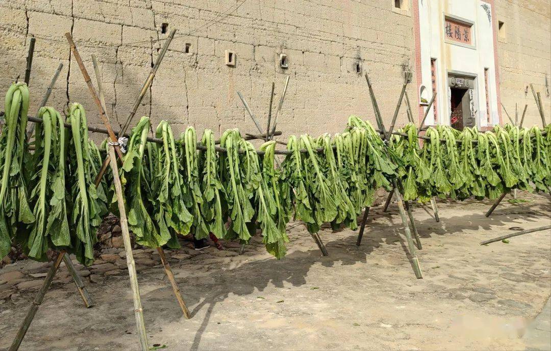 Yongding-Dried-Vegetables3