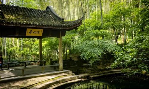 Bamboo-lined-Path-at-Yunqi1