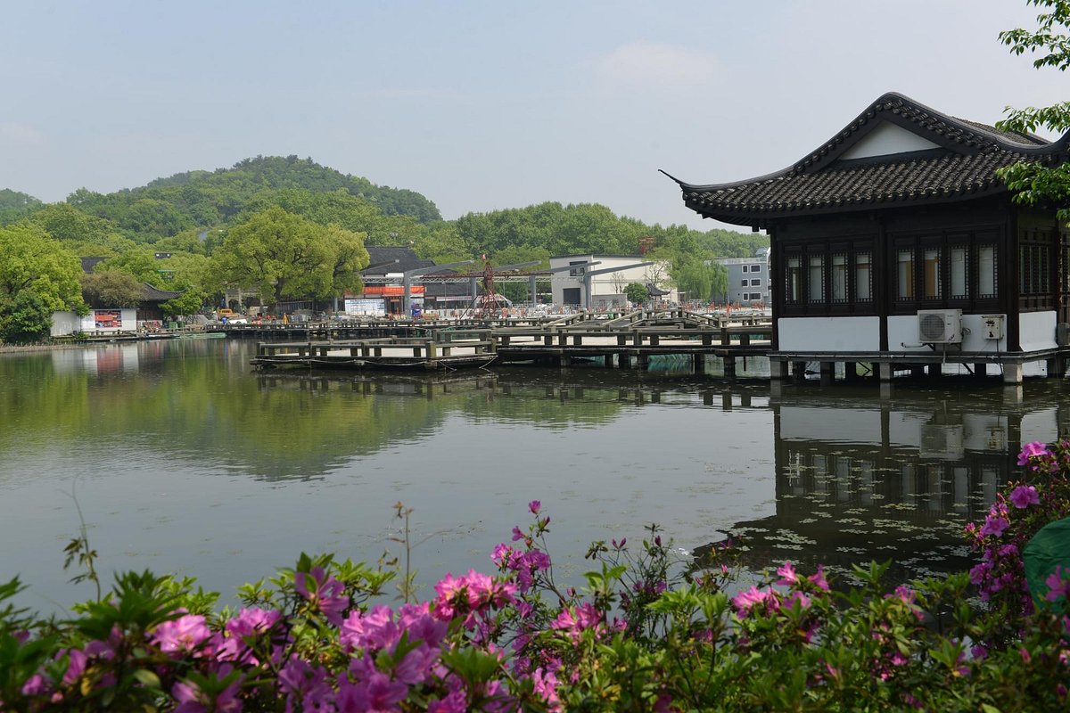 Curved-Yard-and-Lotus-Pool-in-Summer