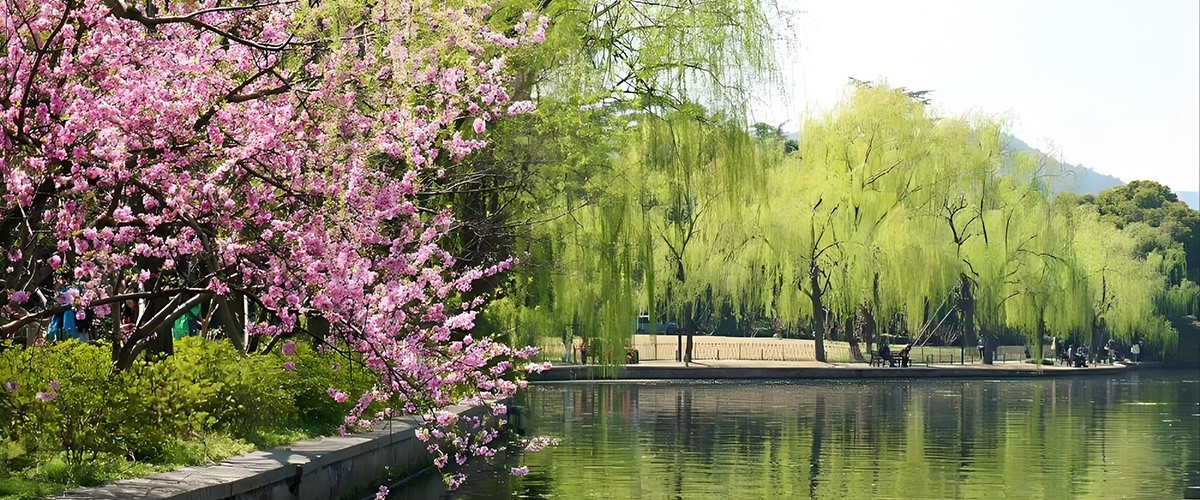 Dawn-on-the-Su-Causeway-in-Spring