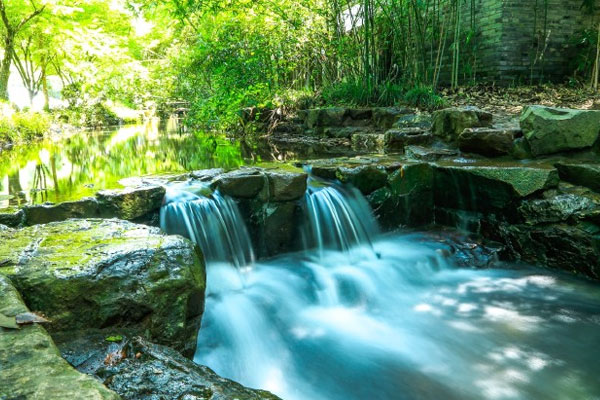 Nine-Creeks-Meandering-Through-a-Misty-Forest