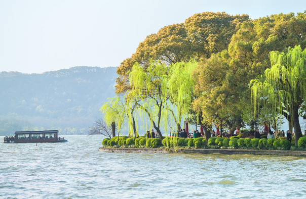Orioles-Singing-in-the-Willows2