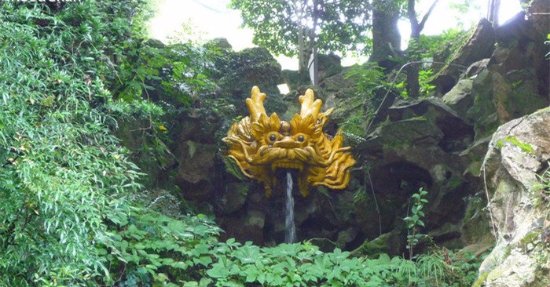 Yellow-Dragon-Cave-Dressed-in-Green