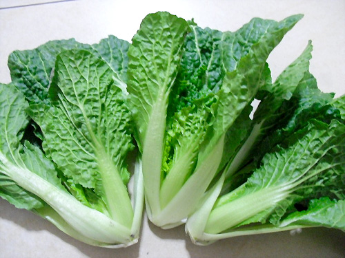 Embroidery-Brocade-Vegetable2