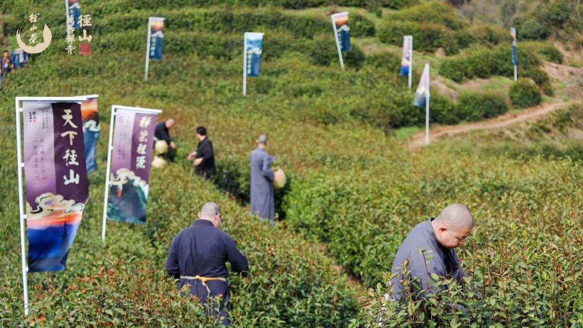 Jingshan-Temple-Tea-Ceremony-&-Meditation-Experience2 Jingshan-Temple-Tea-Ceremony-&-Meditation-Experience2