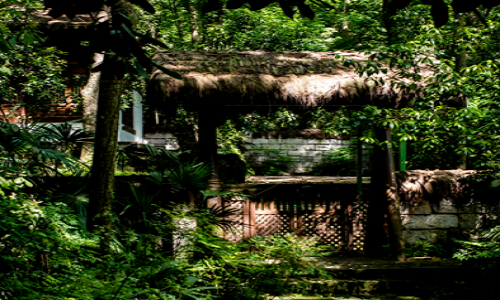 Longjing-Eight-Scenery-Trail-2