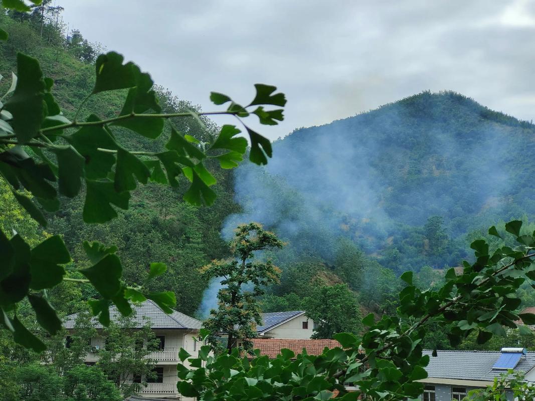 Tianmu-Mountain1 Tianmu-Mountain1