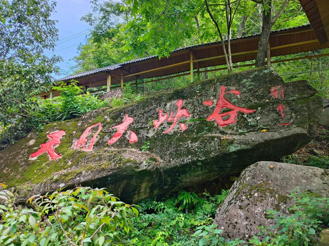 Tianmu-Mountain2 Tianmu-Mountain2