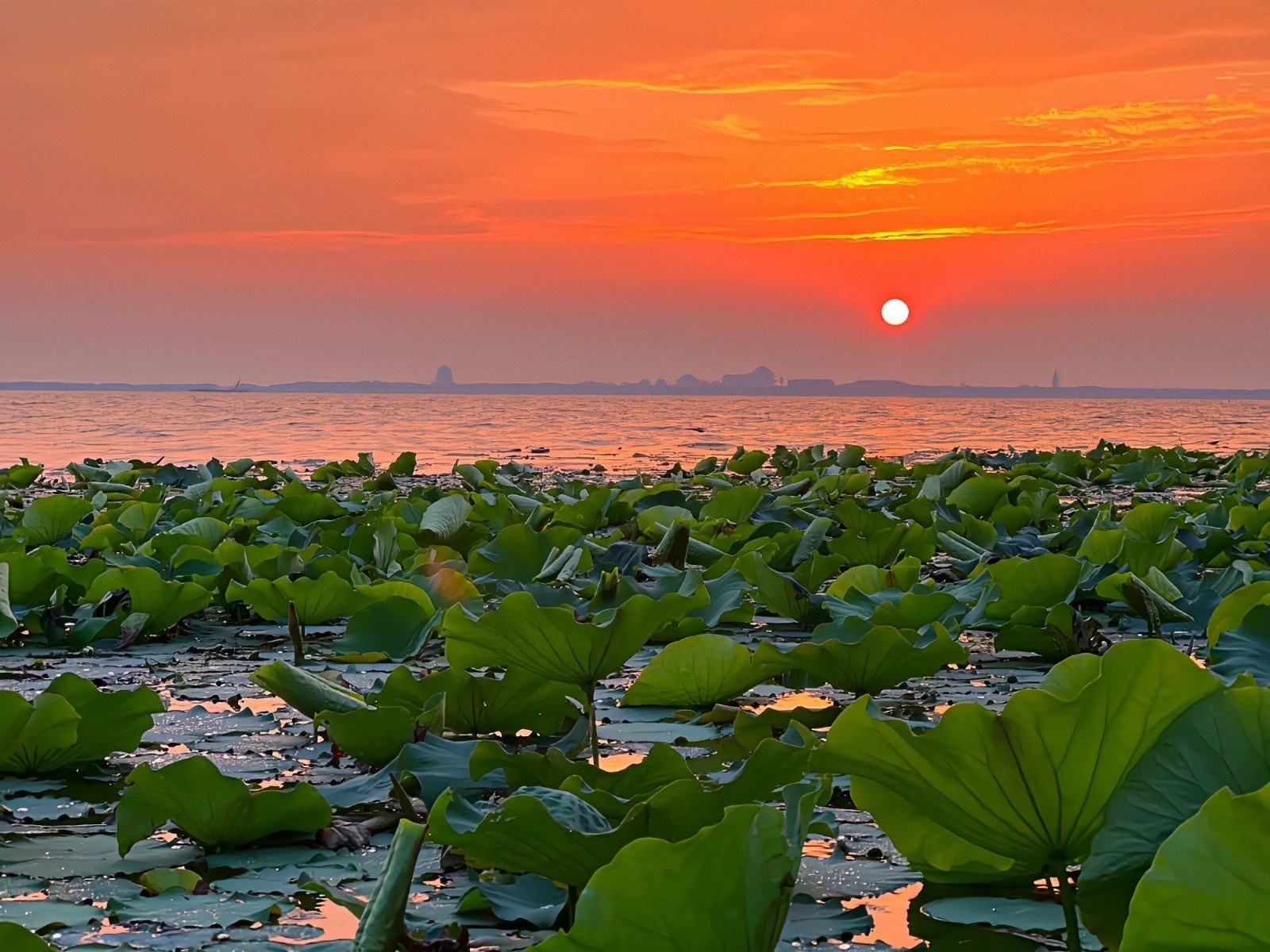 West-Lake1 West-Lake1