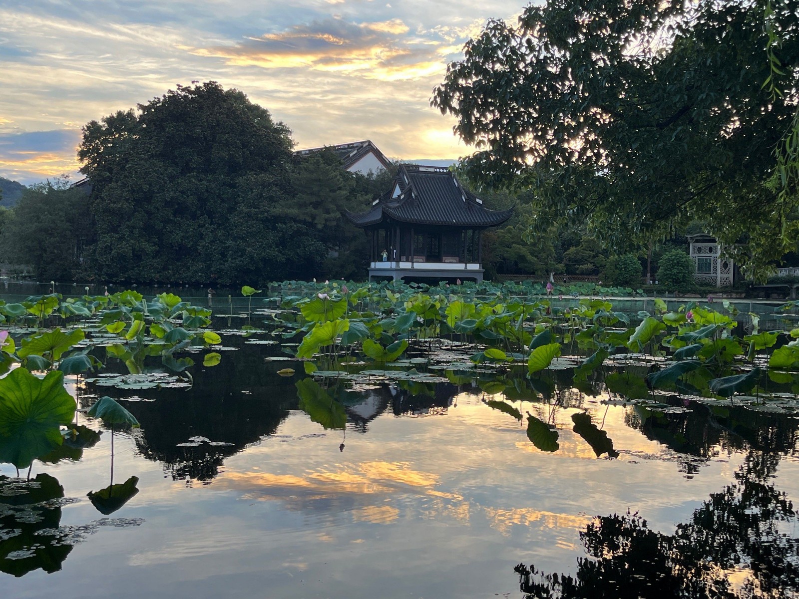 West-Lake2 West-Lake2