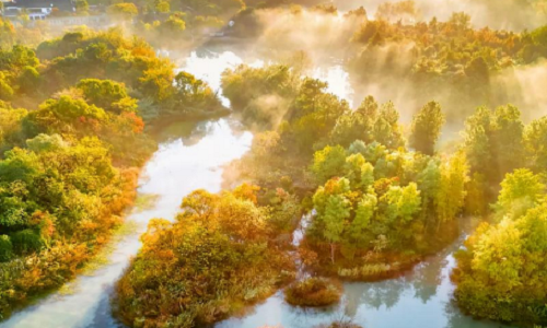 Xixi-National-Wetland-Park-1