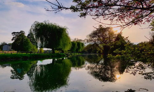 Xixi-National-Wetland-Park-3